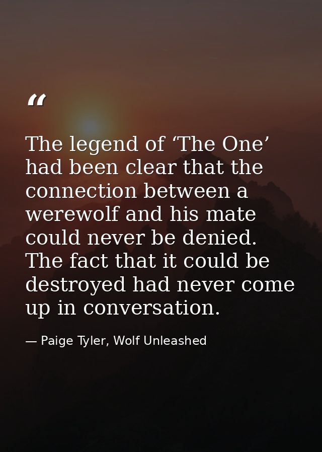 The legend of ‘The One’ had been clear that the connection between a werewolf and his mate could never be denied. The fa — Paige Tyler, Wolf Unleashed