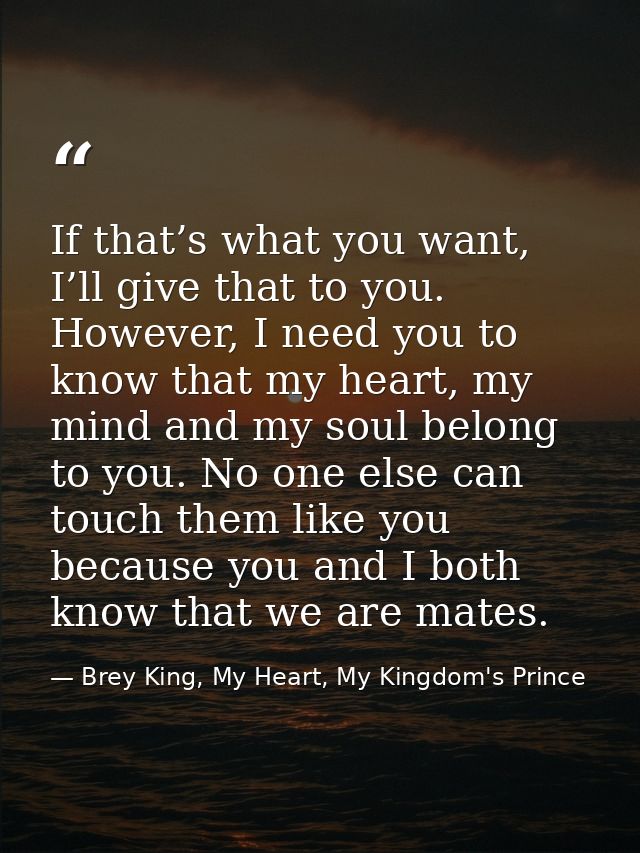 If that’s what you want, I’ll give that to you. However, I need you to know that my heart, my mind and my soul belong to — Brey King, My Heart, My Kingdom's Prince