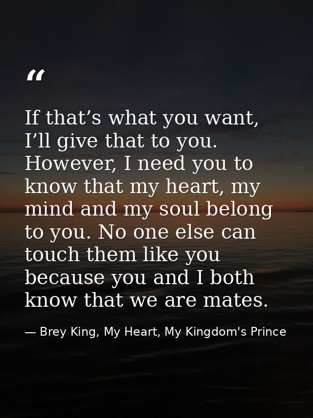 If that’s what you want, I’ll give that to you. However, I need you to know that my heart, my mind and my soul belong to — Brey King, My Heart, My Kingdom's Prince