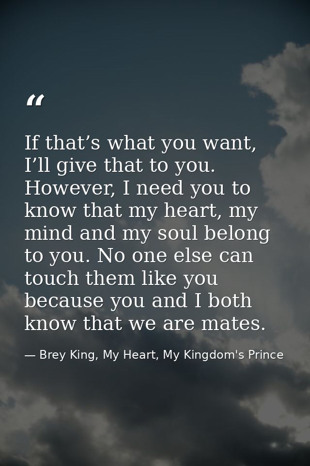 If that’s what you want, I’ll give that to you. However, I need you to know that my heart, my mind and my soul belong to — Brey King, My Heart, My Kingdom's Prince
