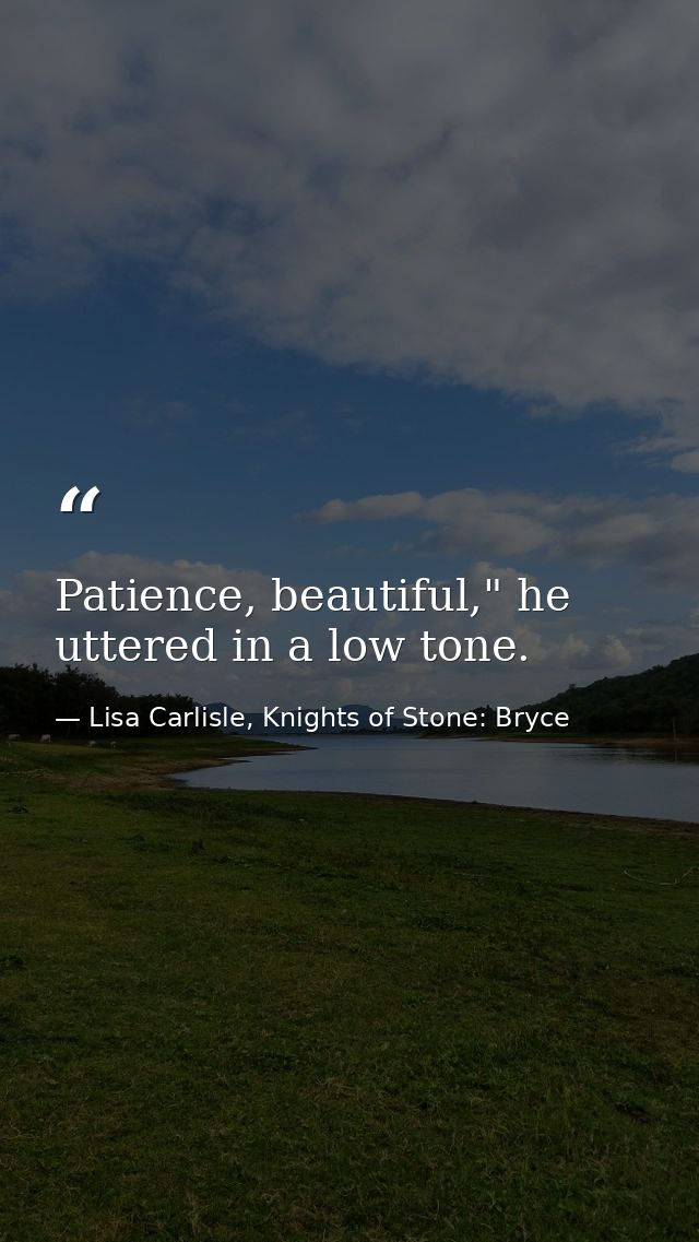Patience, beautiful," he uttered in a low tone. — Lisa Carlisle, Knights of Stone: Bryce