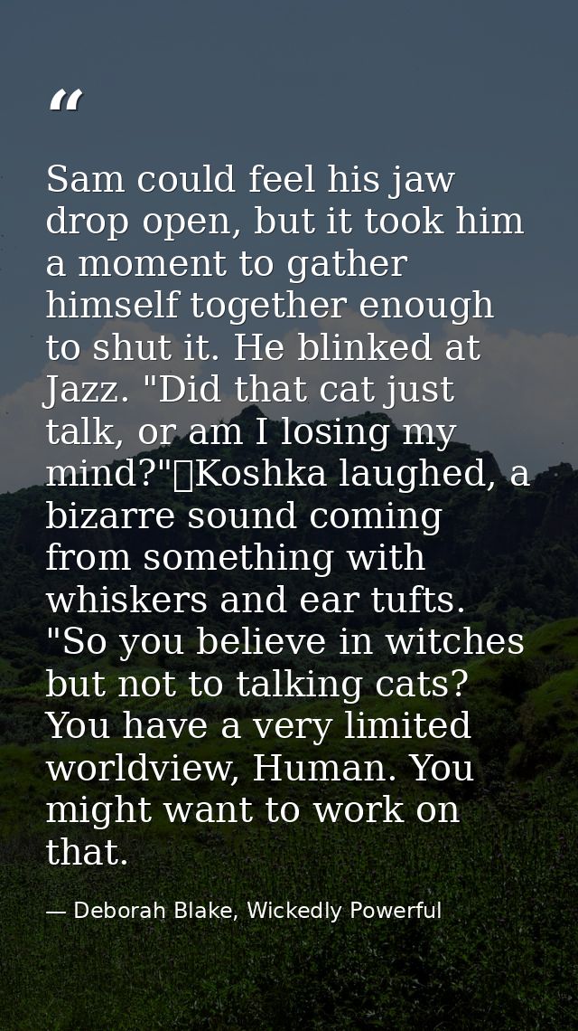 Sam could feel his jaw drop open, but it took him a moment to gather himself together enough to shut it. He blinked at J — Deborah Blake, Wickedly Powerful