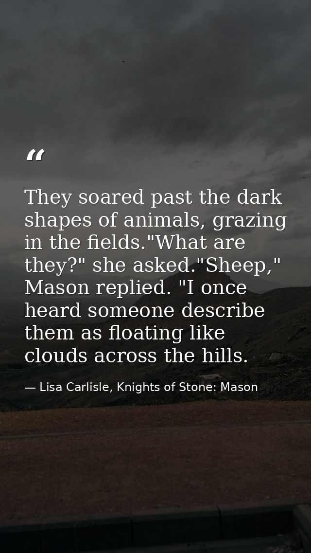 They soared past the dark shapes of animals, grazing in the fields."What are they?" she asked."Sheep," Mason replied. "I — Lisa Carlisle, Knights of Stone: Mason