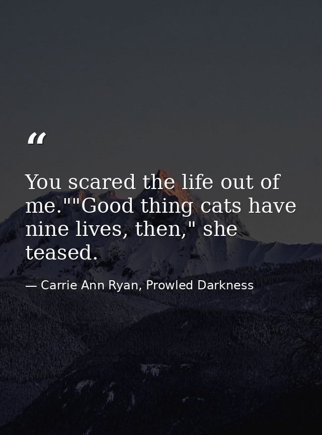 You scared the life out of me.""Good thing cats have nine lives, then," she teased. — Carrie Ann Ryan, Prowled Darkness