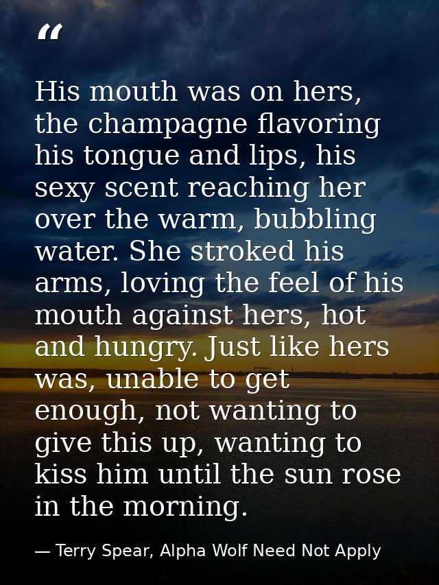 His mouth was on hers, the champagne flavoring his tongue and lips, his sexy scent reaching her over the warm, bubbling  — Terry Spear, Alpha Wolf Need Not Apply