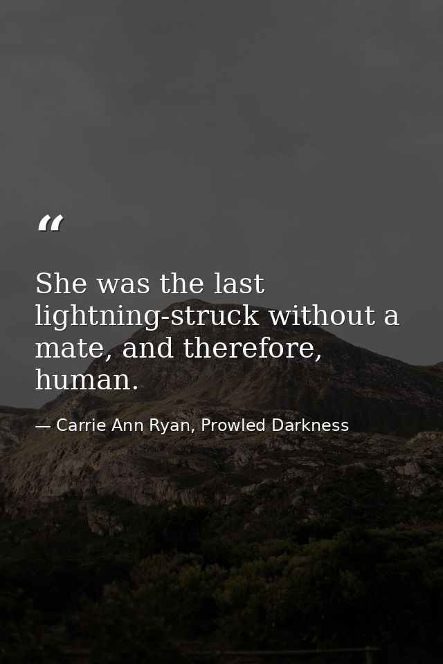 She was the last lightning-struck without a mate, and therefore, human. — Carrie Ann Ryan, Prowled Darkness