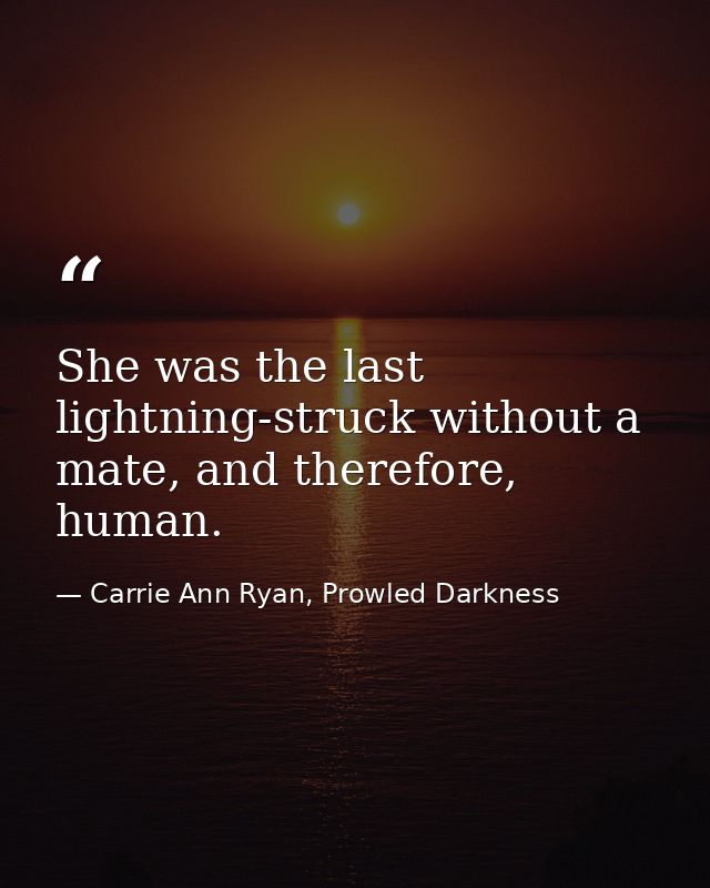 She was the last lightning-struck without a mate, and therefore, human. — Carrie Ann Ryan, Prowled Darkness