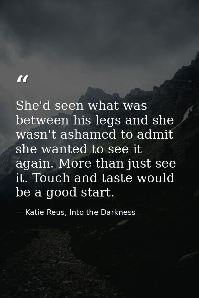 She'd seen what was between his legs and she wasn't ashamed to admit she wanted to see it again. More than just see it.  — Katie Reus, Into the Darkness