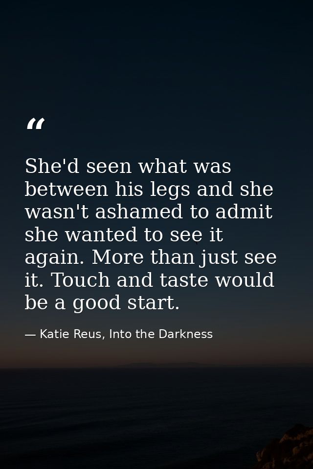 She'd seen what was between his legs and she wasn't ashamed to admit she wanted to see it again. More than just see it.  — Katie Reus, Into the Darkness