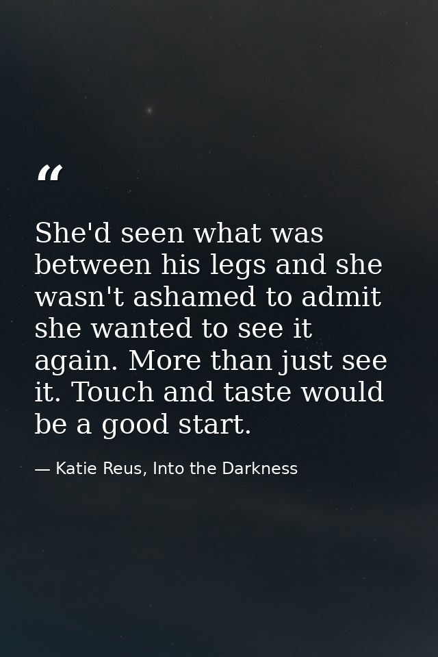 She'd seen what was between his legs and she wasn't ashamed to admit she wanted to see it again. More than just see it.  — Katie Reus, Into the Darkness