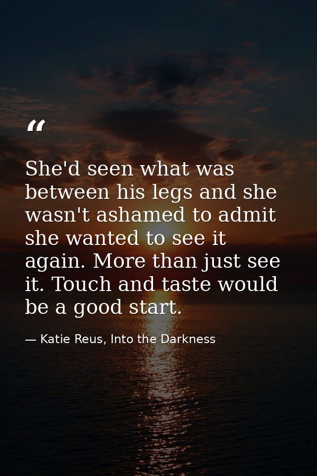 She'd seen what was between his legs and she wasn't ashamed to admit she wanted to see it again. More than just see it.  — Katie Reus, Into the Darkness