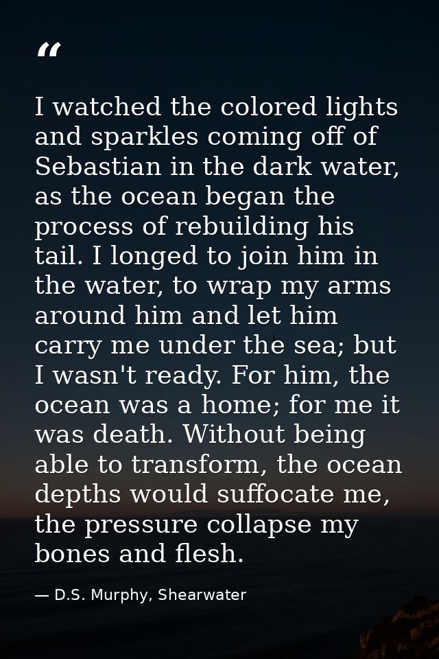 I watched the colored lights and sparkles coming off of Sebastian in the dark water, as the ocean began the process of r — D.S. Murphy, Shearwater