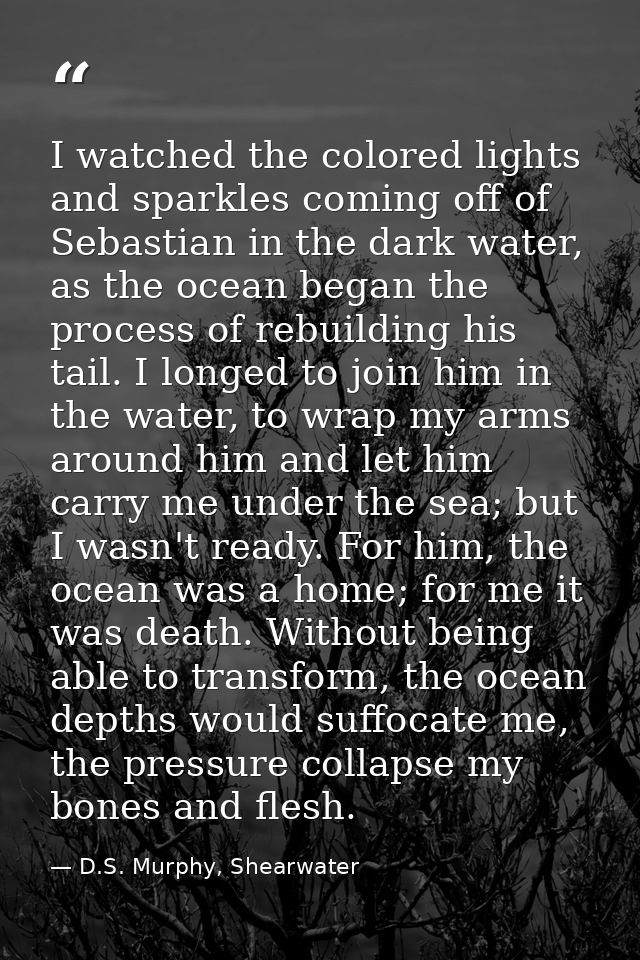 I watched the colored lights and sparkles coming off of Sebastian in the dark water, as the ocean began the process of r — D.S. Murphy, Shearwater