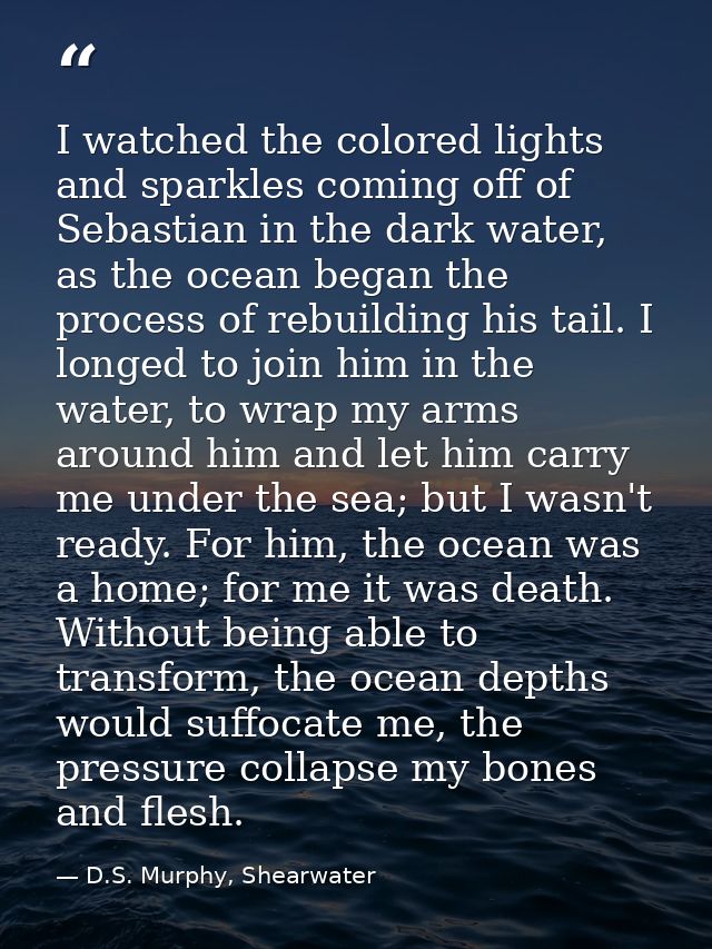 I watched the colored lights and sparkles coming off of Sebastian in the dark water, as the ocean began the process of r — D.S. Murphy, Shearwater