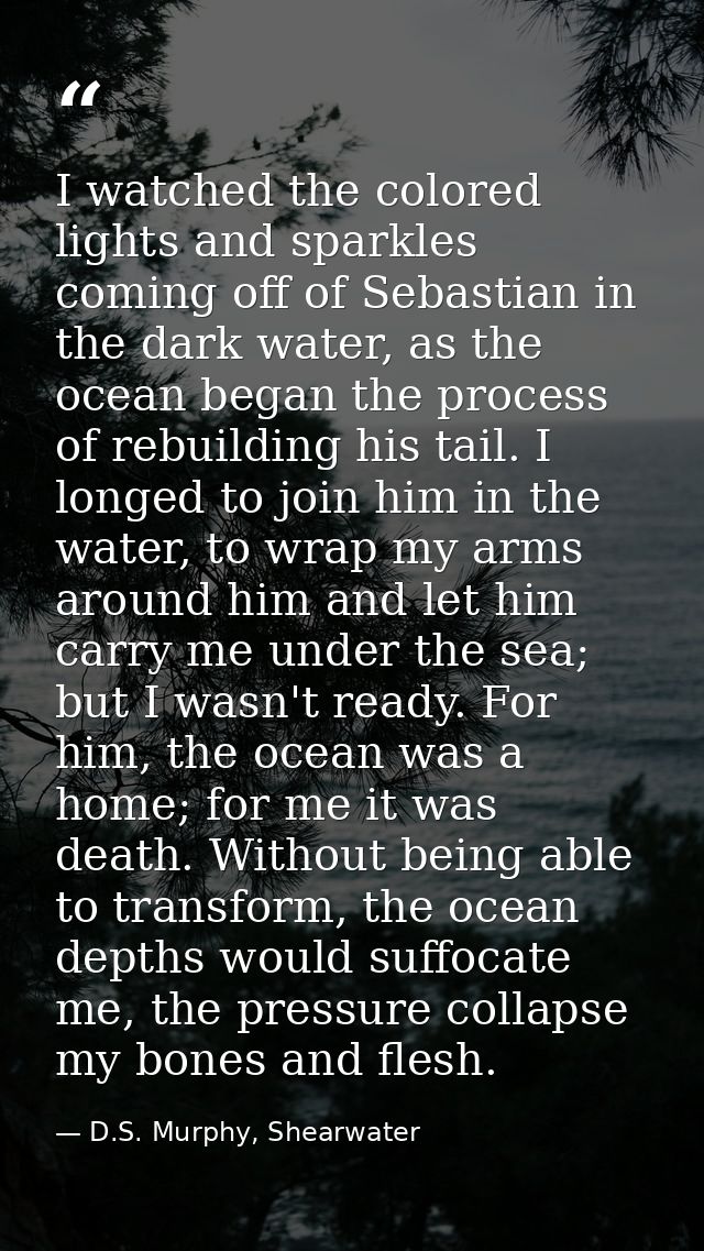 I watched the colored lights and sparkles coming off of Sebastian in the dark water, as the ocean began the process of r — D.S. Murphy, Shearwater