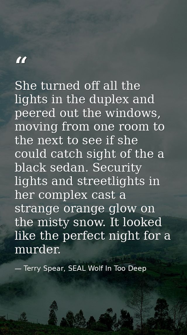 She turned off all the lights in the duplex and peered out the windows, moving from one room to the next to see if she c — Terry Spear, SEAL Wolf In Too Deep