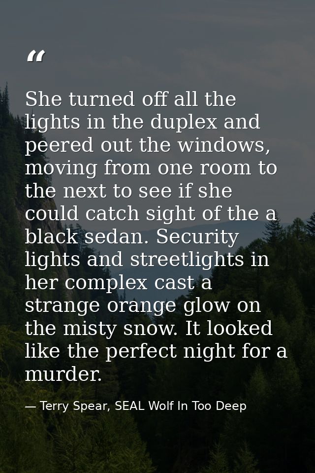 She turned off all the lights in the duplex and peered out the windows, moving from one room to the next to see if she c — Terry Spear, SEAL Wolf In Too Deep