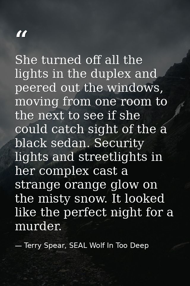 She turned off all the lights in the duplex and peered out the windows, moving from one room to the next to see if she c — Terry Spear, SEAL Wolf In Too Deep