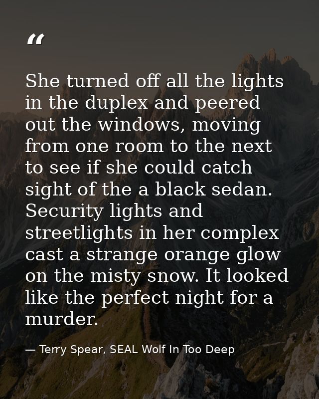She turned off all the lights in the duplex and peered out the windows, moving from one room to the next to see if she c — Terry Spear, SEAL Wolf In Too Deep