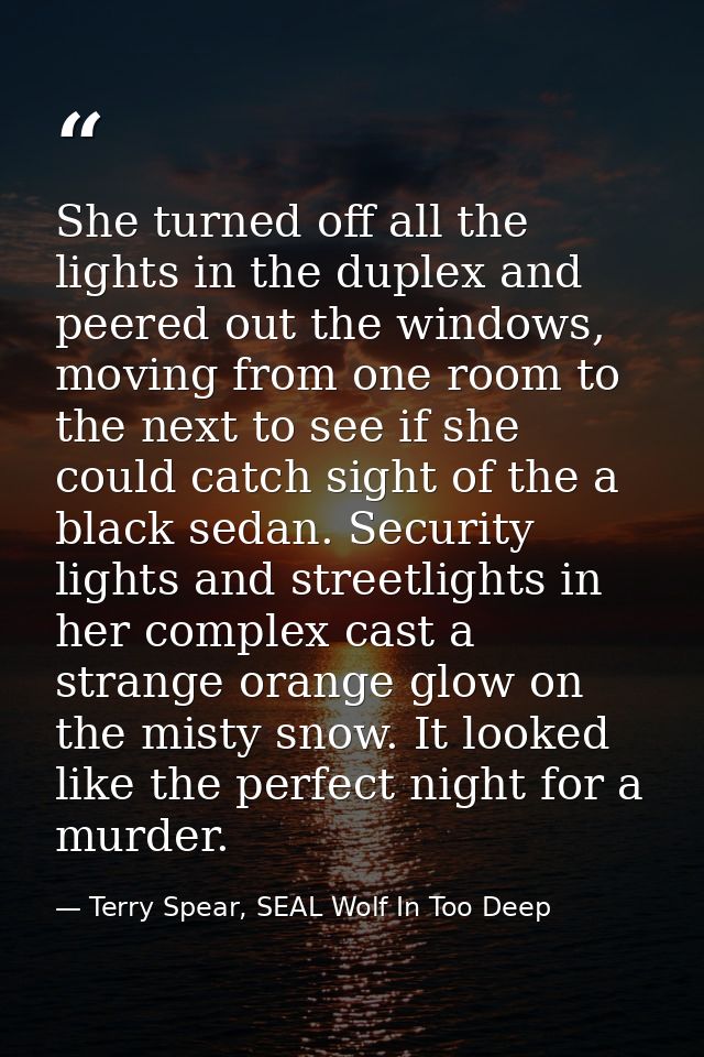 She turned off all the lights in the duplex and peered out the windows, moving from one room to the next to see if she c — Terry Spear, SEAL Wolf In Too Deep