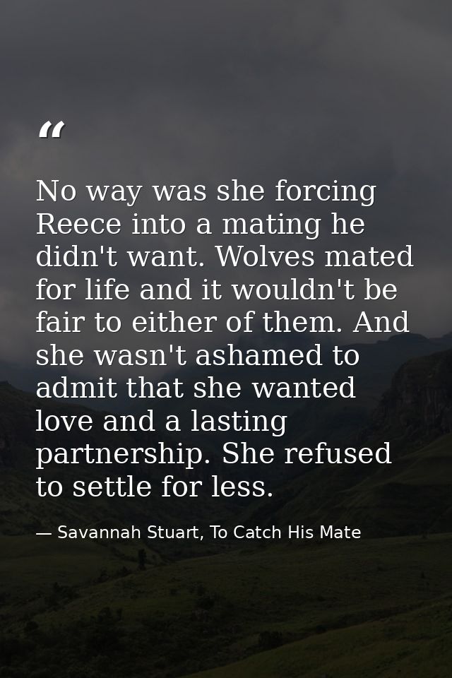 No way was she forcing Reece into a mating he didn't want. Wolves mated for life and it wouldn't be fair to either of th — Savannah Stuart, To Catch His Mate