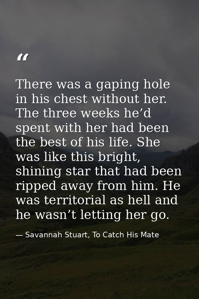 There was a gaping hole in his chest without her. The three weeks he’d spent with her had been the best of his life. She — Savannah Stuart, To Catch His Mate