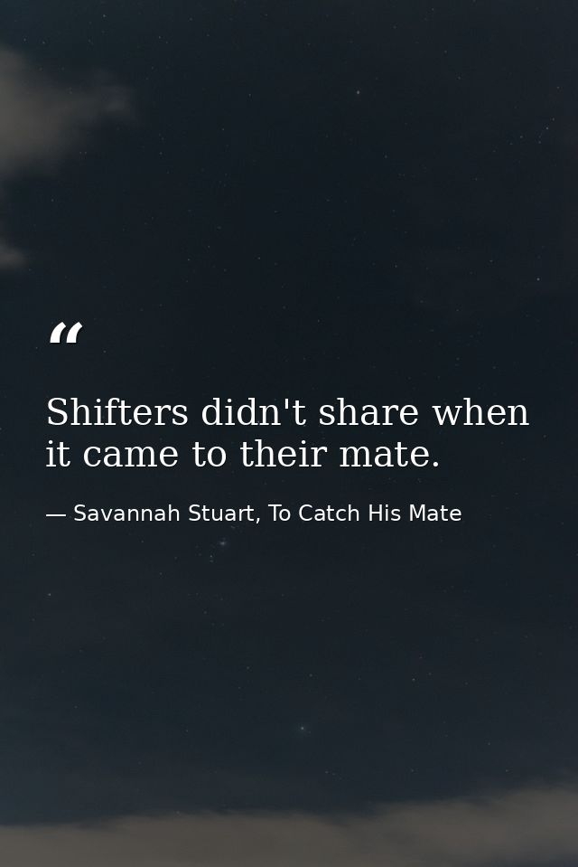 Shifters didn't share when it came to their mate. — Savannah Stuart, To Catch His Mate
