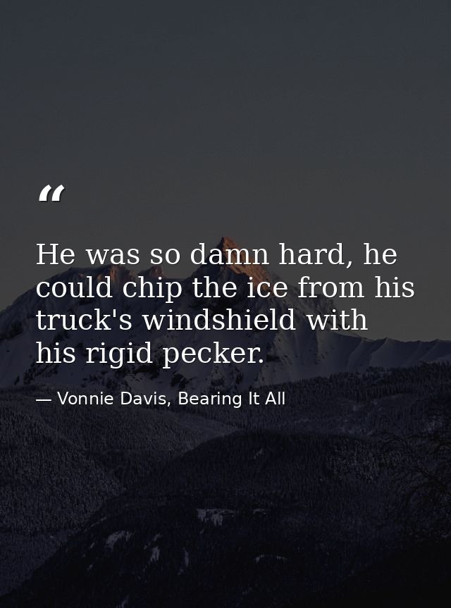 He was so damn hard, he could chip the ice from his truck's windshield with his rigid pecker. — Vonnie Davis, Bearing It All