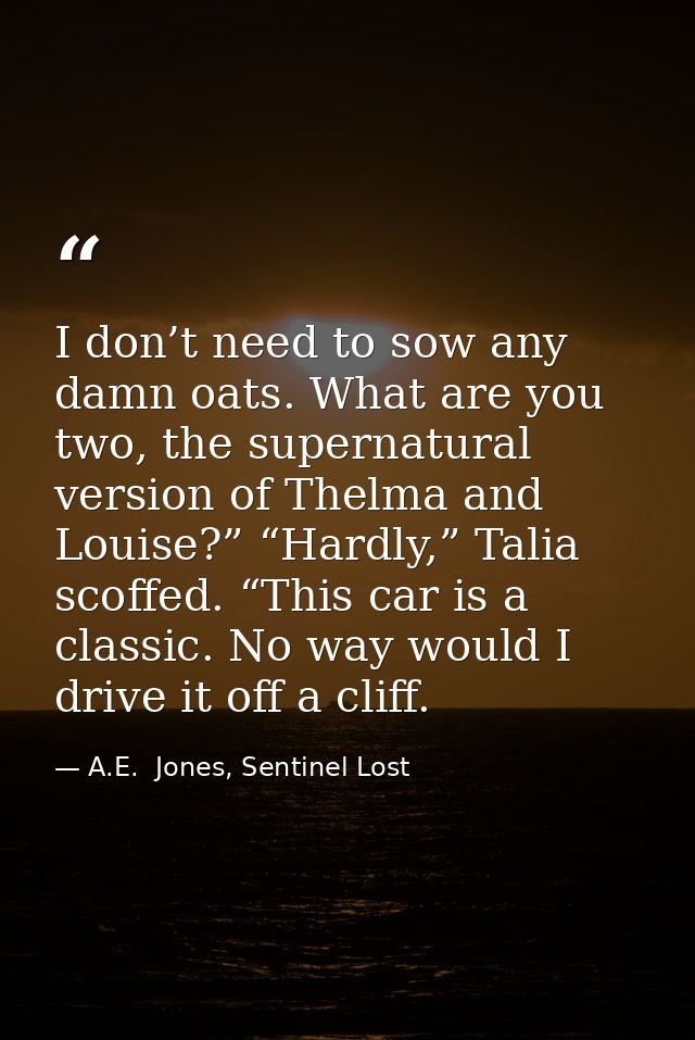 I don’t need to sow any damn oats. What are you two, the supernatural version of Thelma and Louise?” “Hardly,” Talia sco — A.E.  Jones, Sentinel Lost