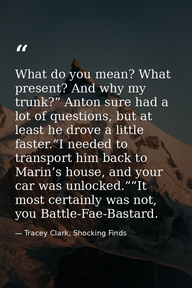 What do you mean? What present? And why my trunk?” Anton sure had a lot of questions, but at least he drove a little fas — Tracey Clark, Shocking Finds