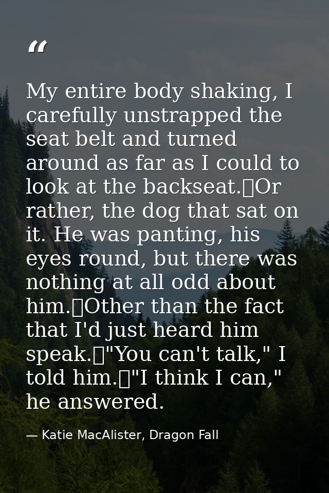 My entire body shaking, I carefully unstrapped the seat belt and turned around as far as I could to look at the backseat — Katie MacAlister, Dragon Fall