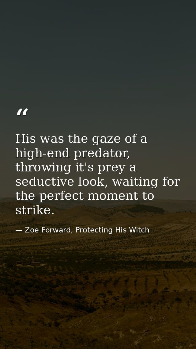 His was the gaze of a high-end predator, throwing it's prey a seductive look, waiting for the perfect moment to strike. — Zoe Forward, Protecting His Witch