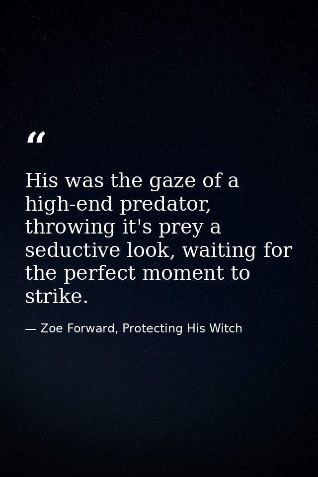 His was the gaze of a high-end predator, throwing it's prey a seductive look, waiting for the perfect moment to strike. — Zoe Forward, Protecting His Witch