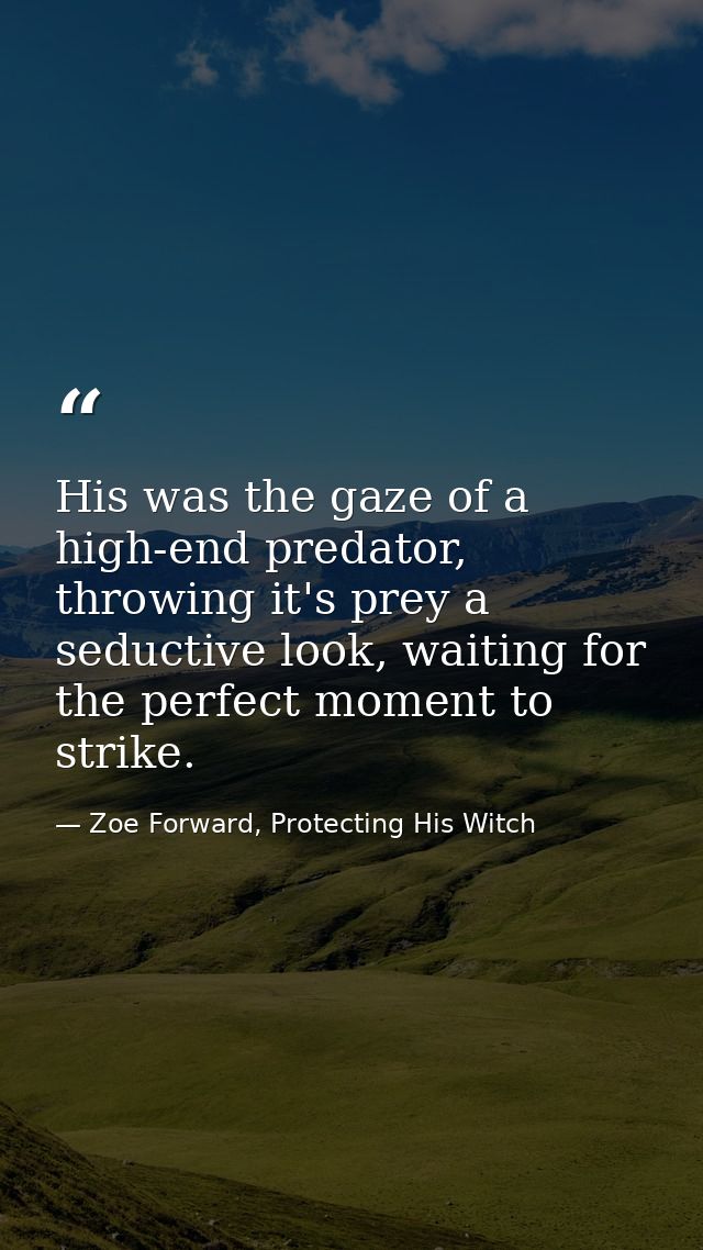 His was the gaze of a high-end predator, throwing it's prey a seductive look, waiting for the perfect moment to strike. — Zoe Forward, Protecting His Witch