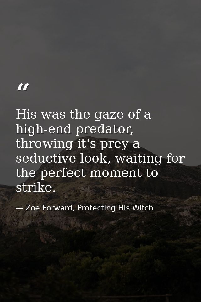 His was the gaze of a high-end predator, throwing it's prey a seductive look, waiting for the perfect moment to strike. — Zoe Forward, Protecting His Witch