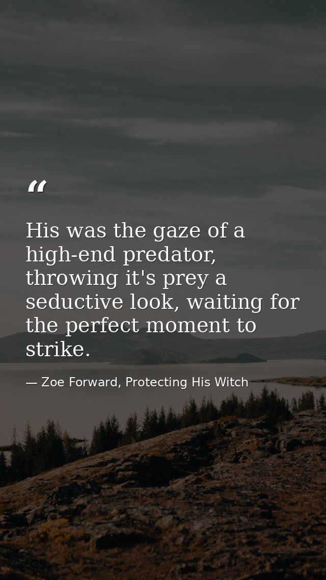 His was the gaze of a high-end predator, throwing it's prey a seductive look, waiting for the perfect moment to strike. — Zoe Forward, Protecting His Witch