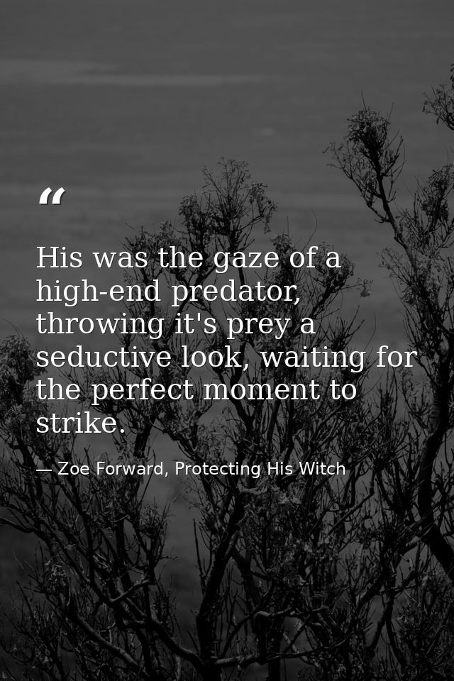 His was the gaze of a high-end predator, throwing it's prey a seductive look, waiting for the perfect moment to strike. — Zoe Forward, Protecting His Witch