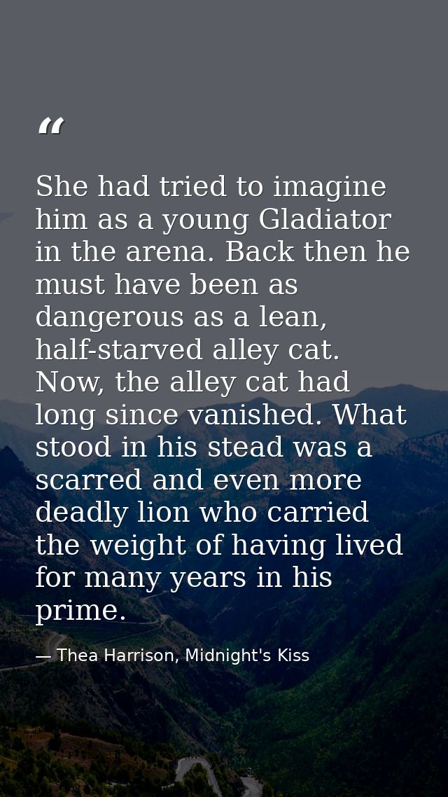 She had tried to imagine him as a young Gladiator in the arena. Back then he must have been as dangerous as a lean, half — Thea Harrison, Midnight's Kiss