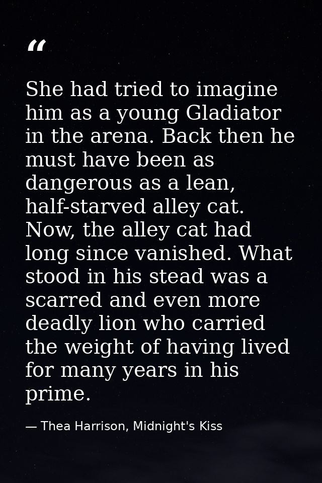 She had tried to imagine him as a young Gladiator in the arena. Back then he must have been as dangerous as a lean, half — Thea Harrison, Midnight's Kiss