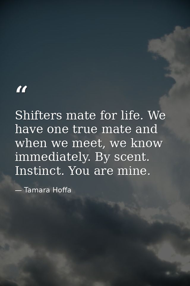 Shifters mate for life. We have one true mate and when we meet, we know immediately. By scent. Instinct. You are mine. — Tamara Hoffa