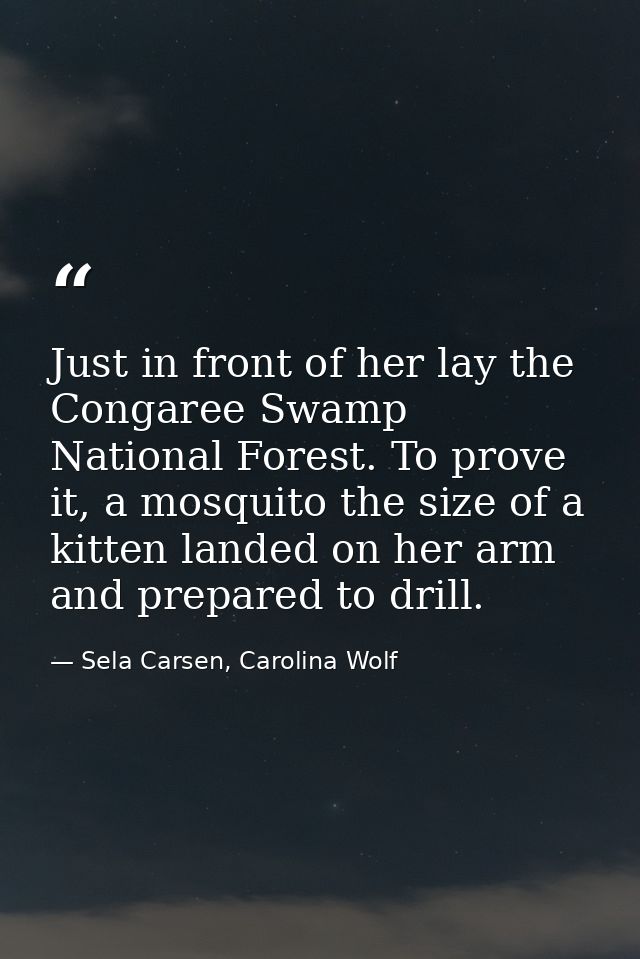 Just in front of her lay the Congaree Swamp National Forest. To prove it, a mosquito the size of a kitten landed on her  — Sela Carsen, Carolina Wolf