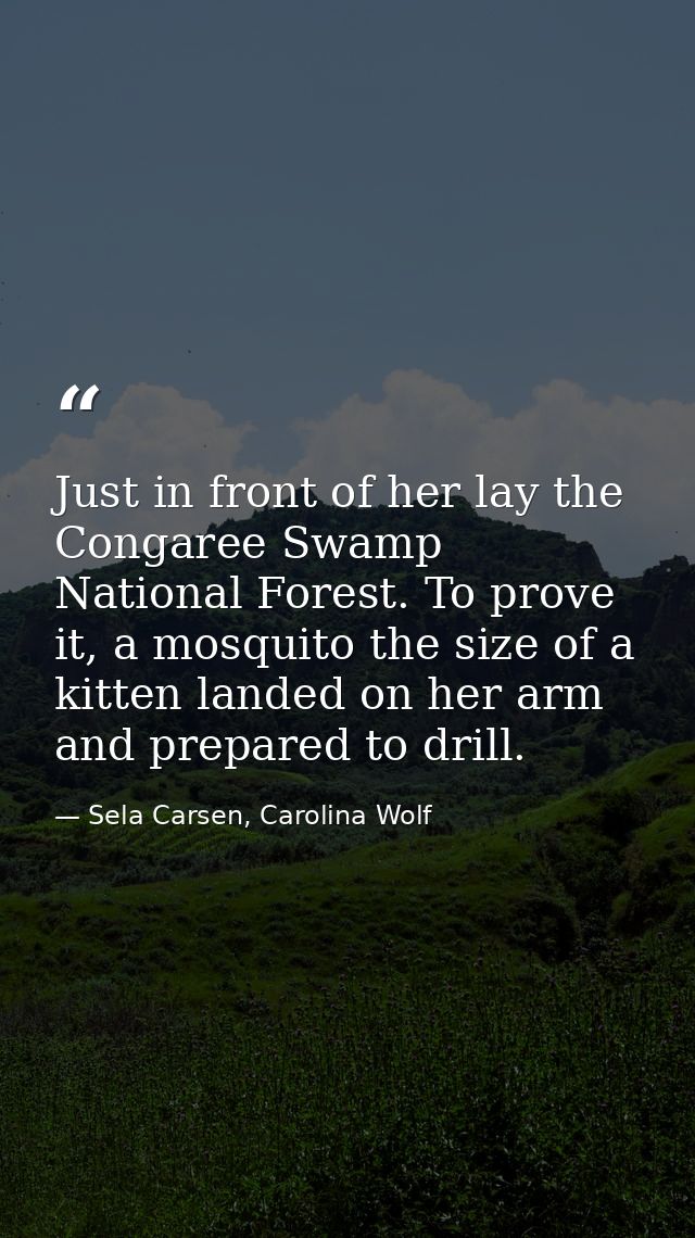 Just in front of her lay the Congaree Swamp National Forest. To prove it, a mosquito the size of a kitten landed on her  — Sela Carsen, Carolina Wolf