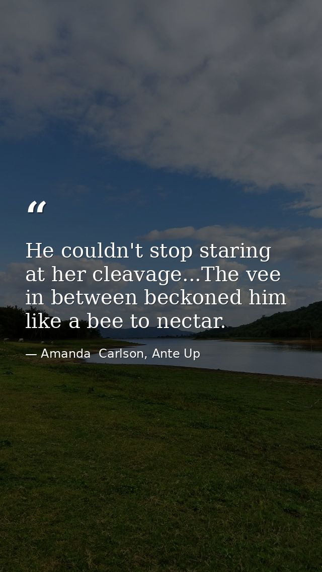 He couldn't stop staring at her cleavage...The vee in between beckoned him like a bee to nectar. — Amanda  Carlson, Ante Up