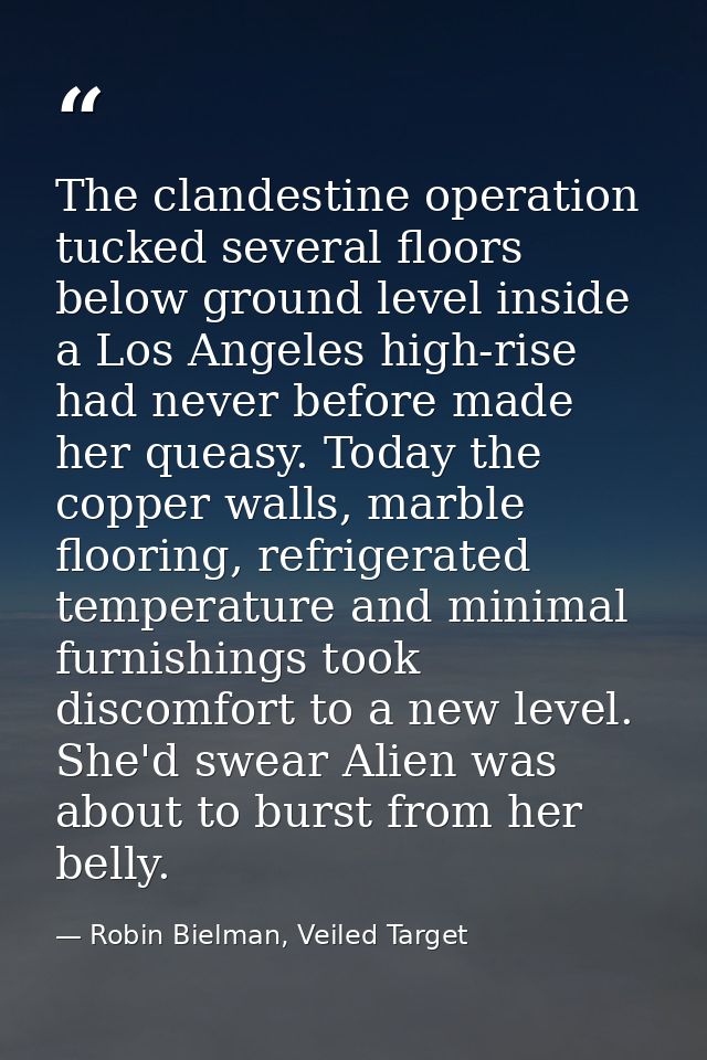 The clandestine operation tucked several floors below ground level inside a Los Angeles high-rise had never before made  — Robin Bielman, Veiled Target
