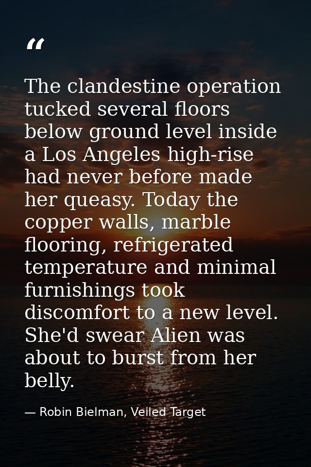 The clandestine operation tucked several floors below ground level inside a Los Angeles high-rise had never before made  — Robin Bielman, Veiled Target