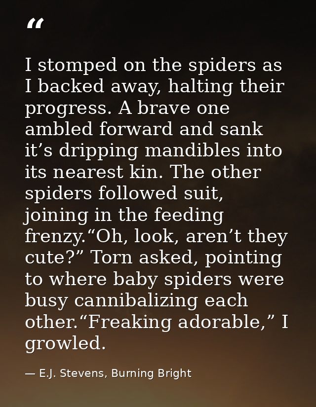 I stomped on the spiders as I backed away, halting their progress. A brave one ambled forward and sank it’s dripping man — E.J. Stevens, Burning Bright