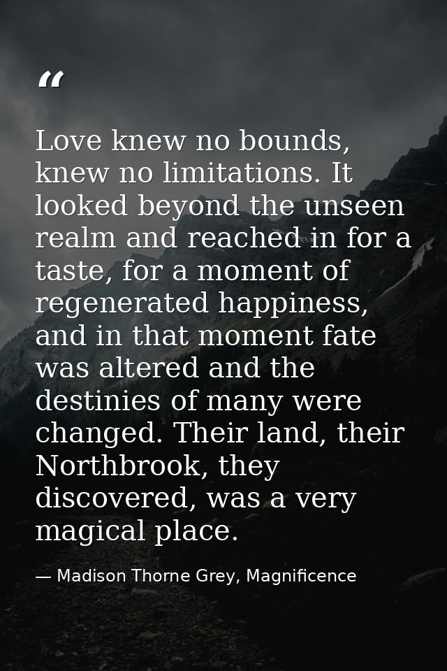 Love knew no bounds, knew no limitations. It looked beyond the unseen realm and reached in for a taste, for a moment of  — Madison Thorne Grey, Magnificence