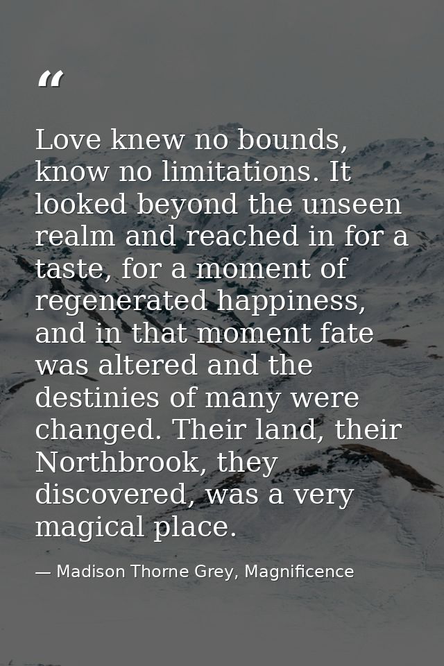 Love knew no bounds, know no limitations. It looked beyond the unseen realm and reached in for a taste, for a moment of  — Madison Thorne Grey, Magnificence