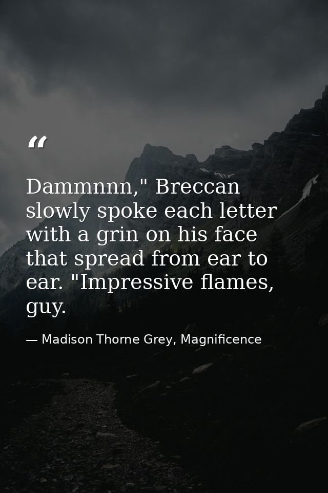 Dammnnn," Breccan slowly spoke each letter with a grin on his face that spread from ear to ear. "Impressive flames, guy. — Madison Thorne Grey, Magnificence