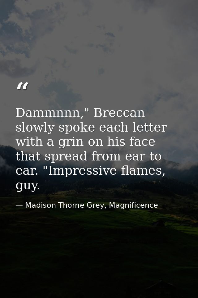 Dammnnn," Breccan slowly spoke each letter with a grin on his face that spread from ear to ear. "Impressive flames, guy. — Madison Thorne Grey, Magnificence